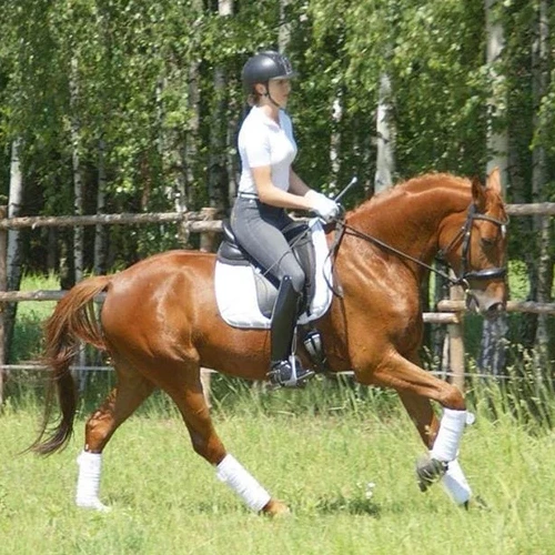 martyna kmiecinska-wasiak