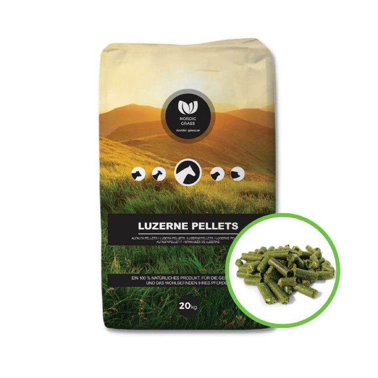 lucernokuli